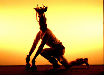 MUSICA DANZA TRADICION MEXICANA musica danza tradicion mexicana: